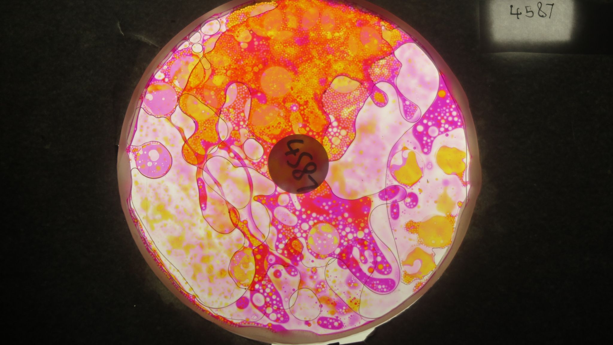 BV4587 bubble vision oil wheel